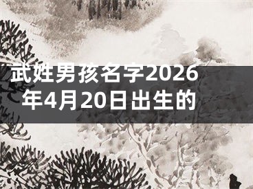 武姓男孩名字2026年4月20日出生的