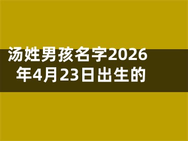 汤姓男孩名字2026年4月23日出生的