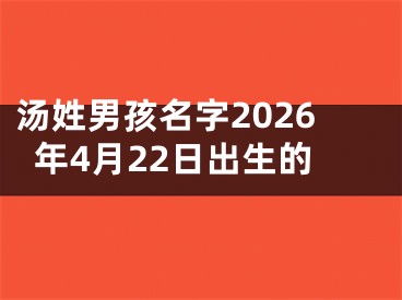汤姓男孩名字2026年4月22日出生的