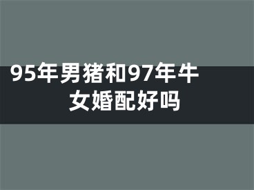 95年男猪和97年牛女婚配好吗