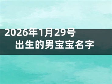 2026年1月29号出生的男宝宝名字