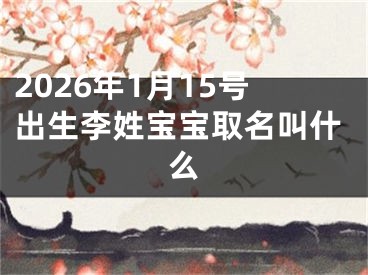 2026年1月15号出生李姓宝宝取名叫什么