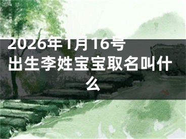 2026年1月16号出生李姓宝宝取名叫什么