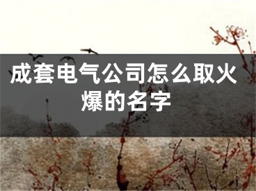 成套电气公司怎么取火爆的名字