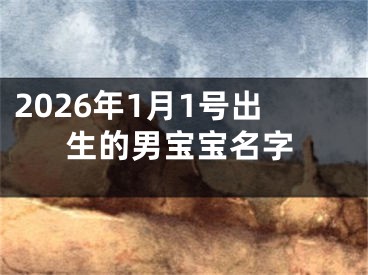 2026年1月1号出生的男宝宝名字