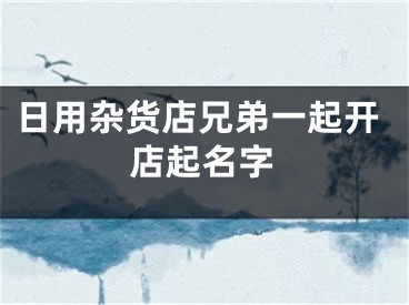 日用杂货店兄弟一起开店起名字