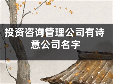 投资咨询管理公司有诗意公司名字