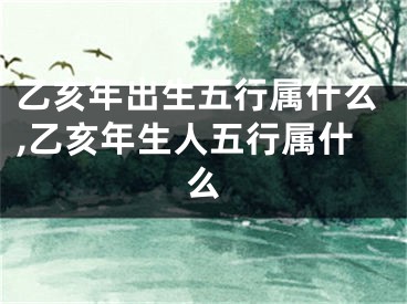 乙亥年出生五行属什么,乙亥年生人五行属什么