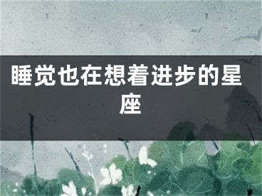 睡觉也在想着进步的星座