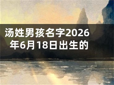 汤姓男孩名字2026年6月18日出生的