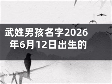 武姓男孩名字2026年6月12日出生的