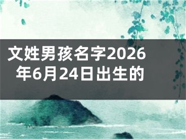 文姓男孩名字2026年6月24日出生的