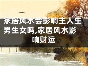 家居风水会影响主人生男生女吗,家居风水影响财运