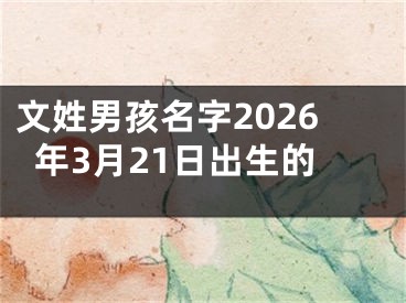 文姓男孩名字2026年3月21日出生的