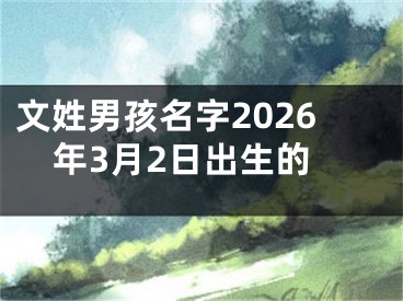 文姓男孩名字2026年3月2日出生的