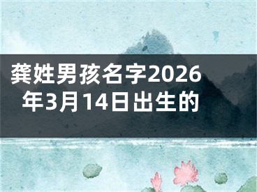 龚姓男孩名字2026年3月14日出生的