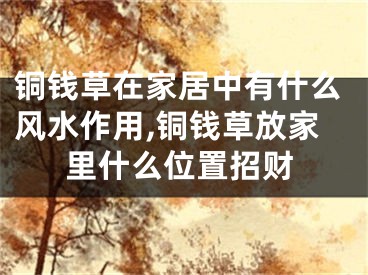 铜钱草在家居中有什么风水作用,铜钱草放家里什么位置招财