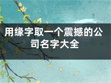 用缘字取一个震撼的公司名字大全