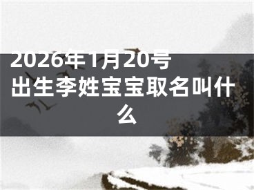 2026年1月20号出生李姓宝宝取名叫什么
