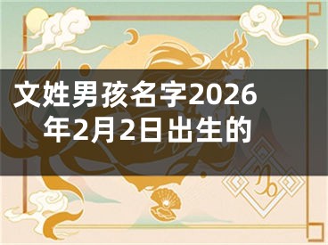 文姓男孩名字2026年2月2日出生的