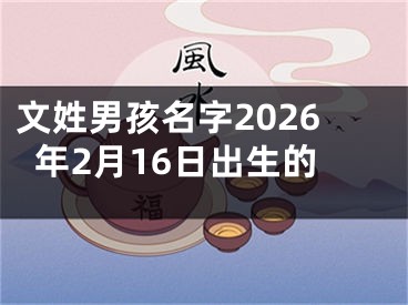 文姓男孩名字2026年2月16日出生的