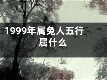 1999年属兔人五行属什么