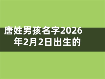 唐姓男孩名字2026年2月2日出生的