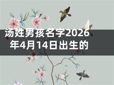 汤姓男孩名字2026年4月14日出生的