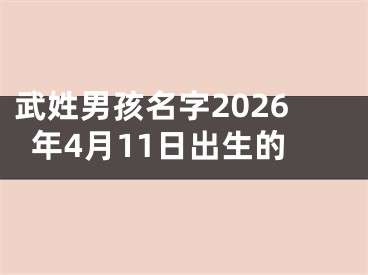 武姓男孩名字2026年4月11日出生的