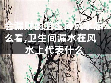 会漏财的卫生间风水怎么看,卫生间漏水在风水上代表什么