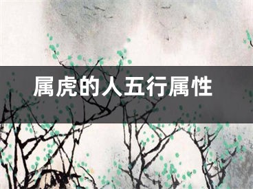 属虎的人五行属性