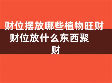 财位摆放哪些植物旺财  财位放什么东西聚财