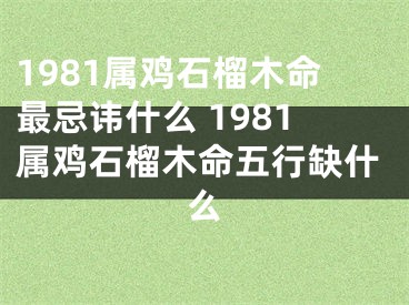 1981属鸡石榴木命最忌讳什么 1981属鸡石榴木命五行缺什么