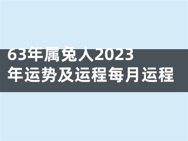 63年属兔人2023年运势及运程每月运程
