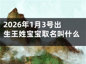 2026年1月3号出生王姓宝宝取名叫什么