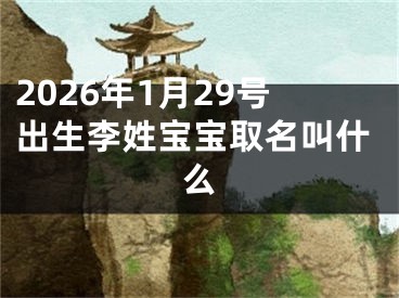 2026年1月29号出生李姓宝宝取名叫什么