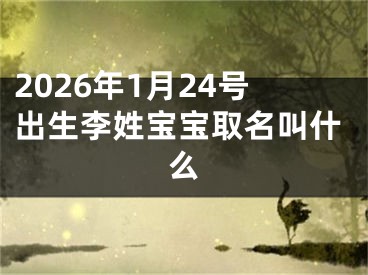 2026年1月24号出生李姓宝宝取名叫什么