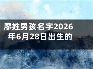 廖姓男孩名字2026年6月28日出生的