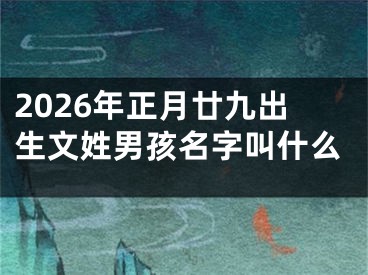 2026年正月廿九出生文姓男孩名字叫什么