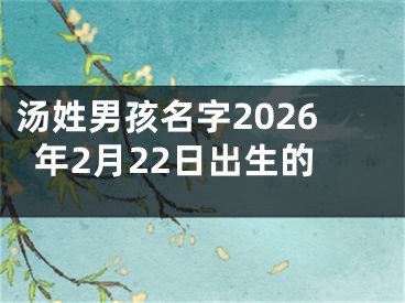 汤姓男孩名字2026年2月22日出生的