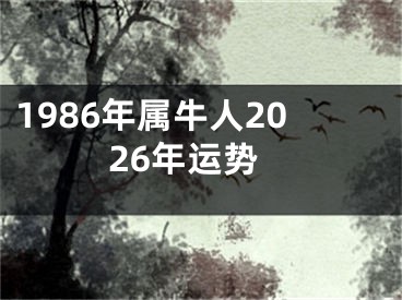1986年属牛人2026年运势
