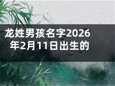 龙姓男孩名字2026年2月11日出生的