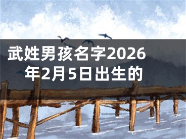 武姓男孩名字2026年2月5日出生的