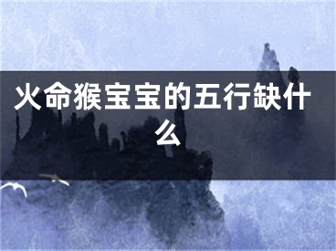 火命猴宝宝的五行缺什么