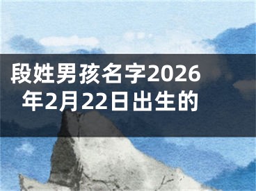 段姓男孩名字2026年2月22日出生的