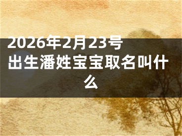 2026年2月23号出生潘姓宝宝取名叫什么