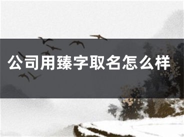 公司用臻字取名怎么样