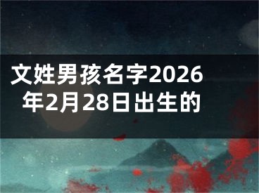 文姓男孩名字2026年2月28日出生的