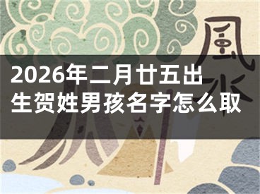 2026年二月廿五出生贺姓男孩名字怎么取