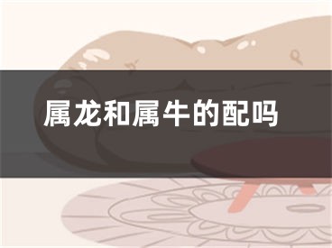 属龙和属牛的配吗